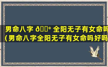 男命八字 💮 全阳无子有女命吗（男命八字全阳无子有女命吗好吗）